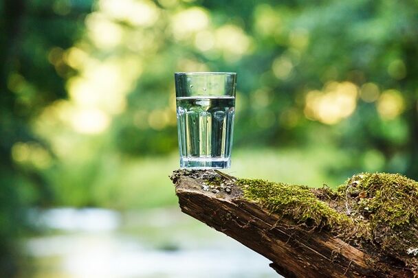 El agua derretida es la mejor opción para una dieta de agua
